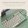 DROP Expression Series Shinai TKL Mechanical Keyboard – Holy Panda X Tactile Switches – PBT Double-Shot Keycaps – LED Backlight – Green